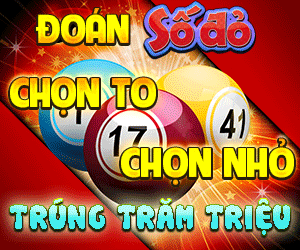 soi cau 247