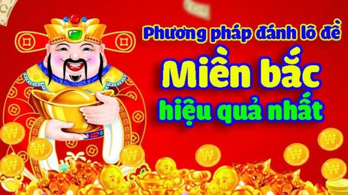 soi cau hieu qua