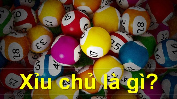 xiu-chu-la-gi xỉu chủ là gì